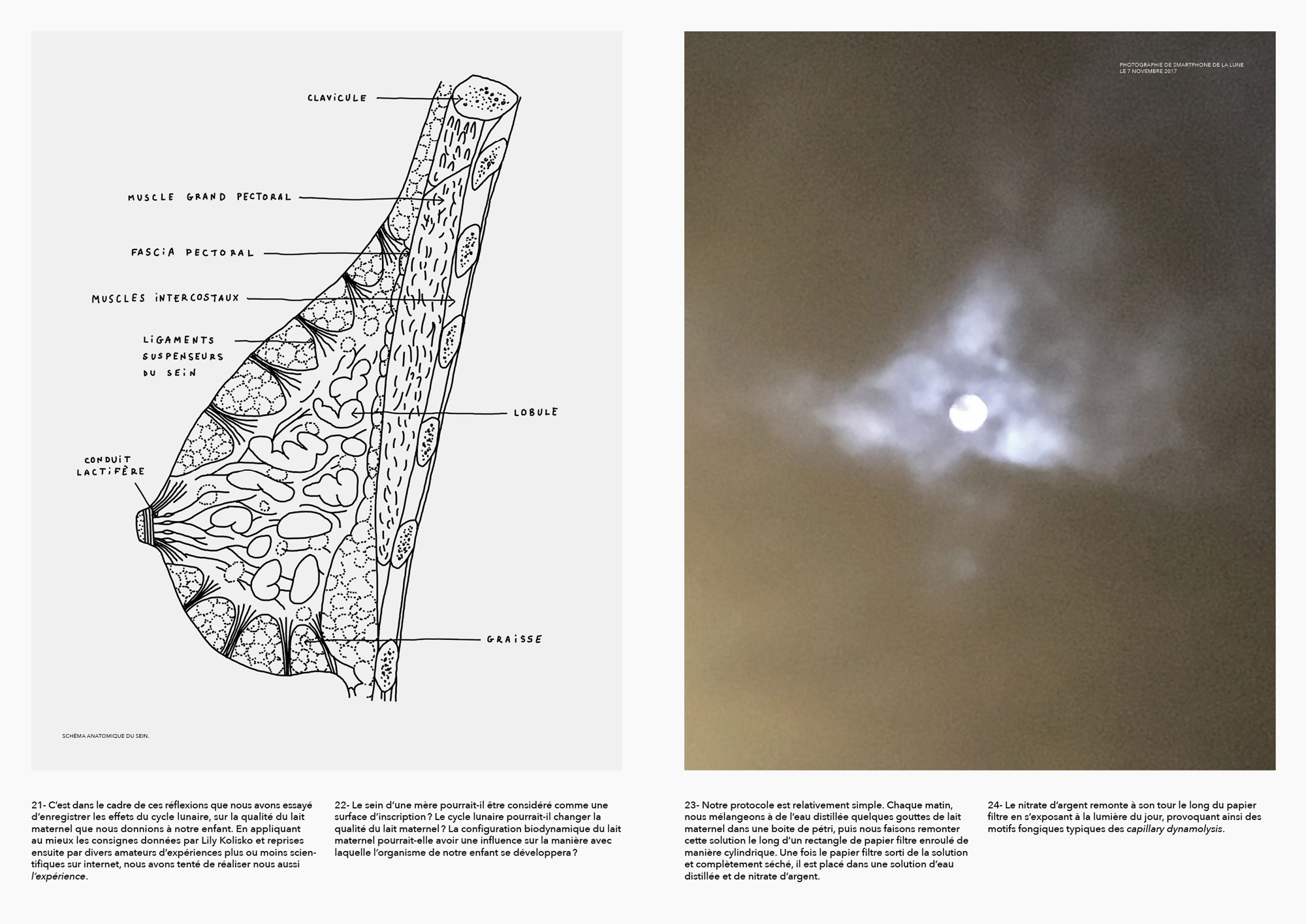 terralactation 6