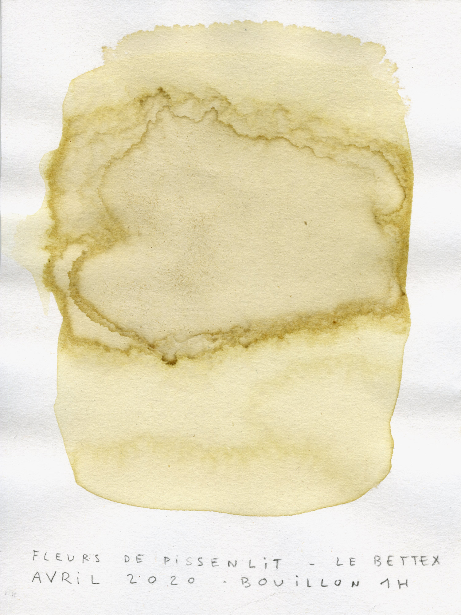 test-couleur005