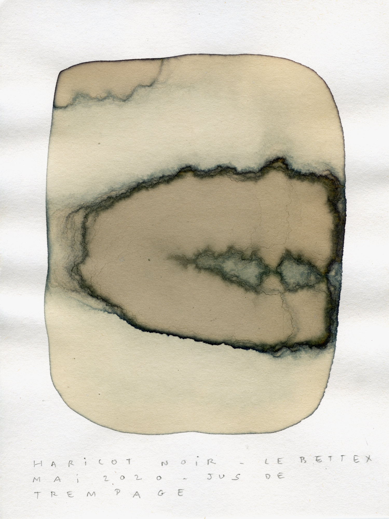 test-couleur009