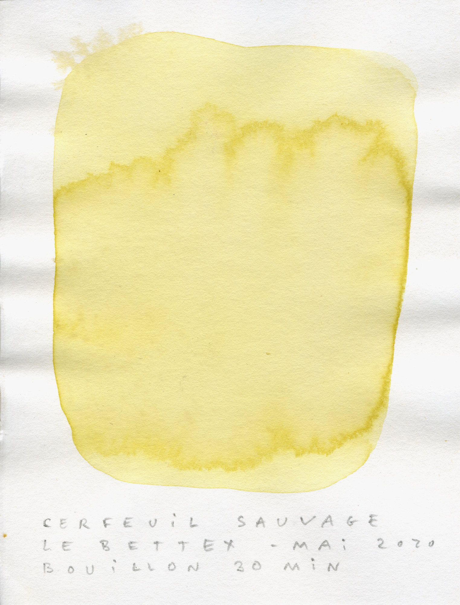 test-couleur013