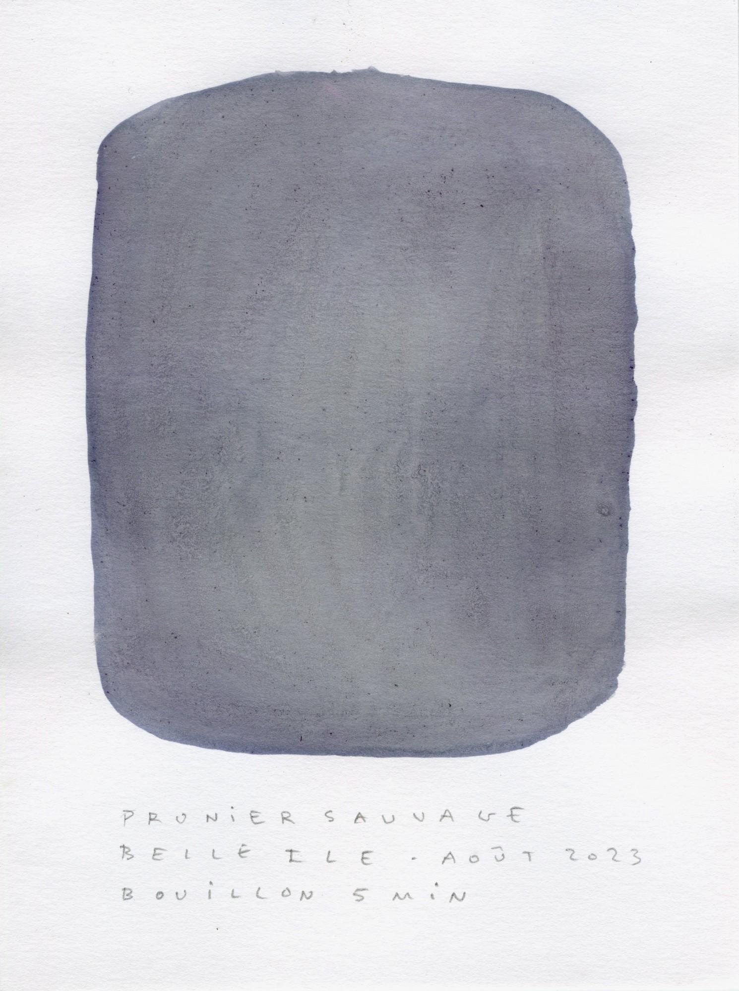 test-couleur025