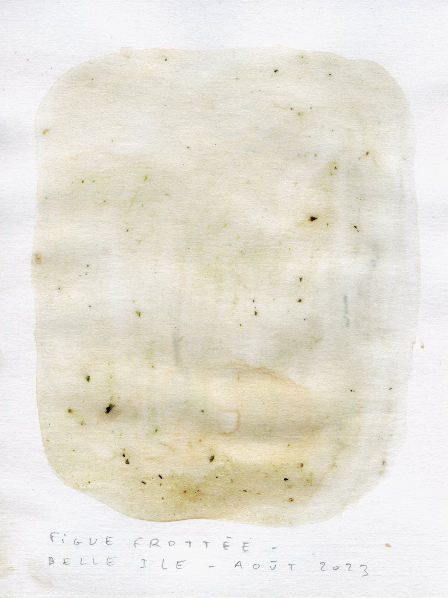 test-couleur041