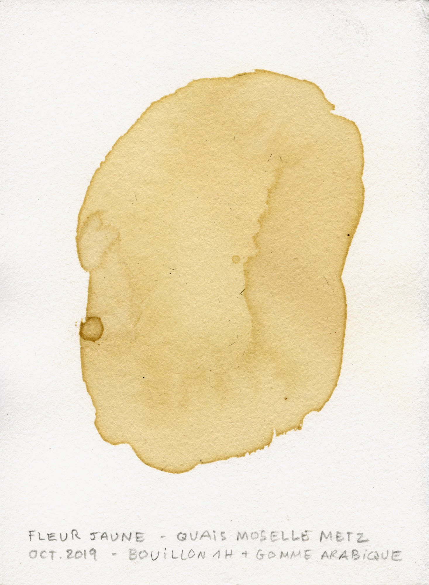 test-couleur064