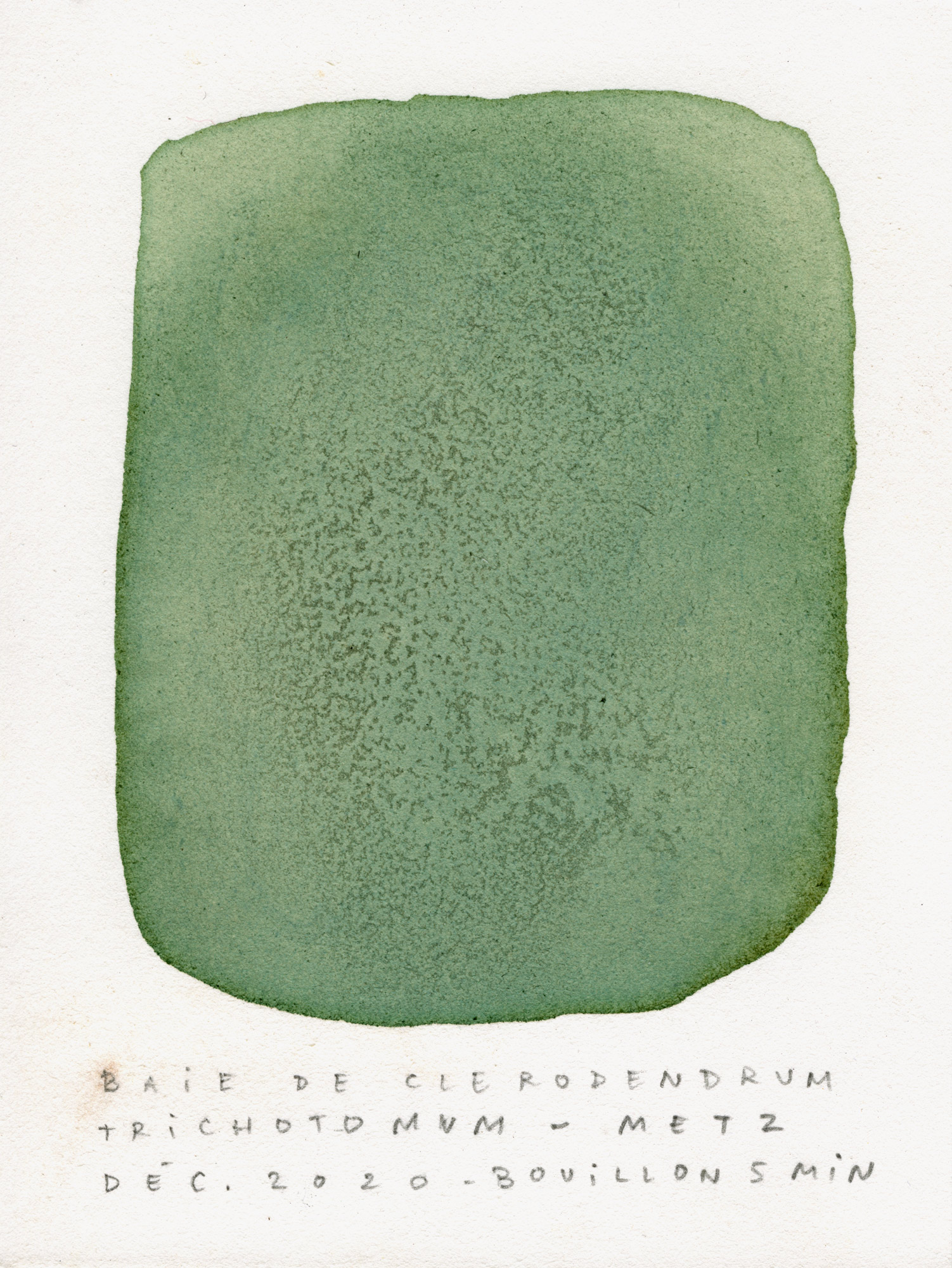 test-couleur066