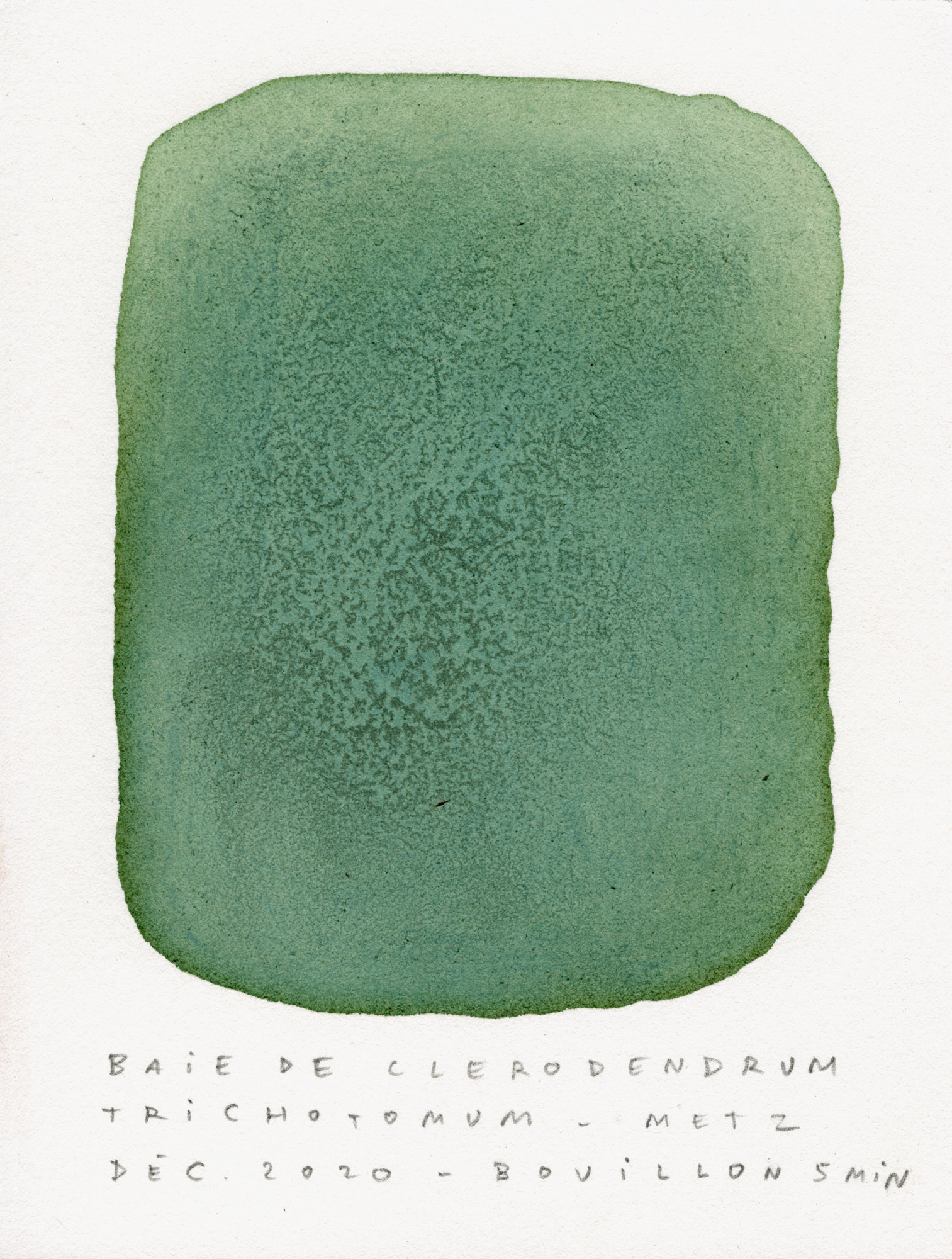 test-couleur074