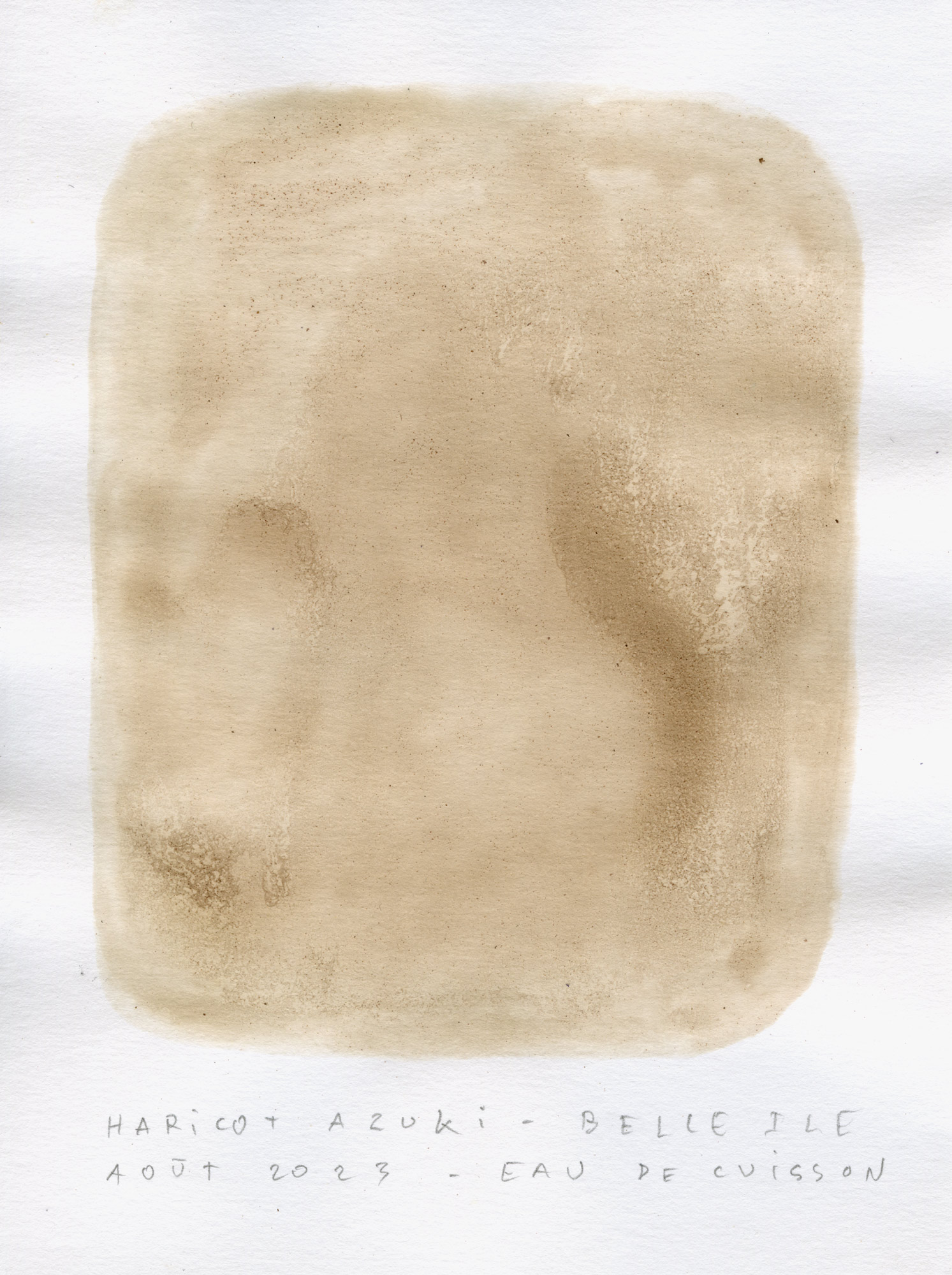 test-couleur031