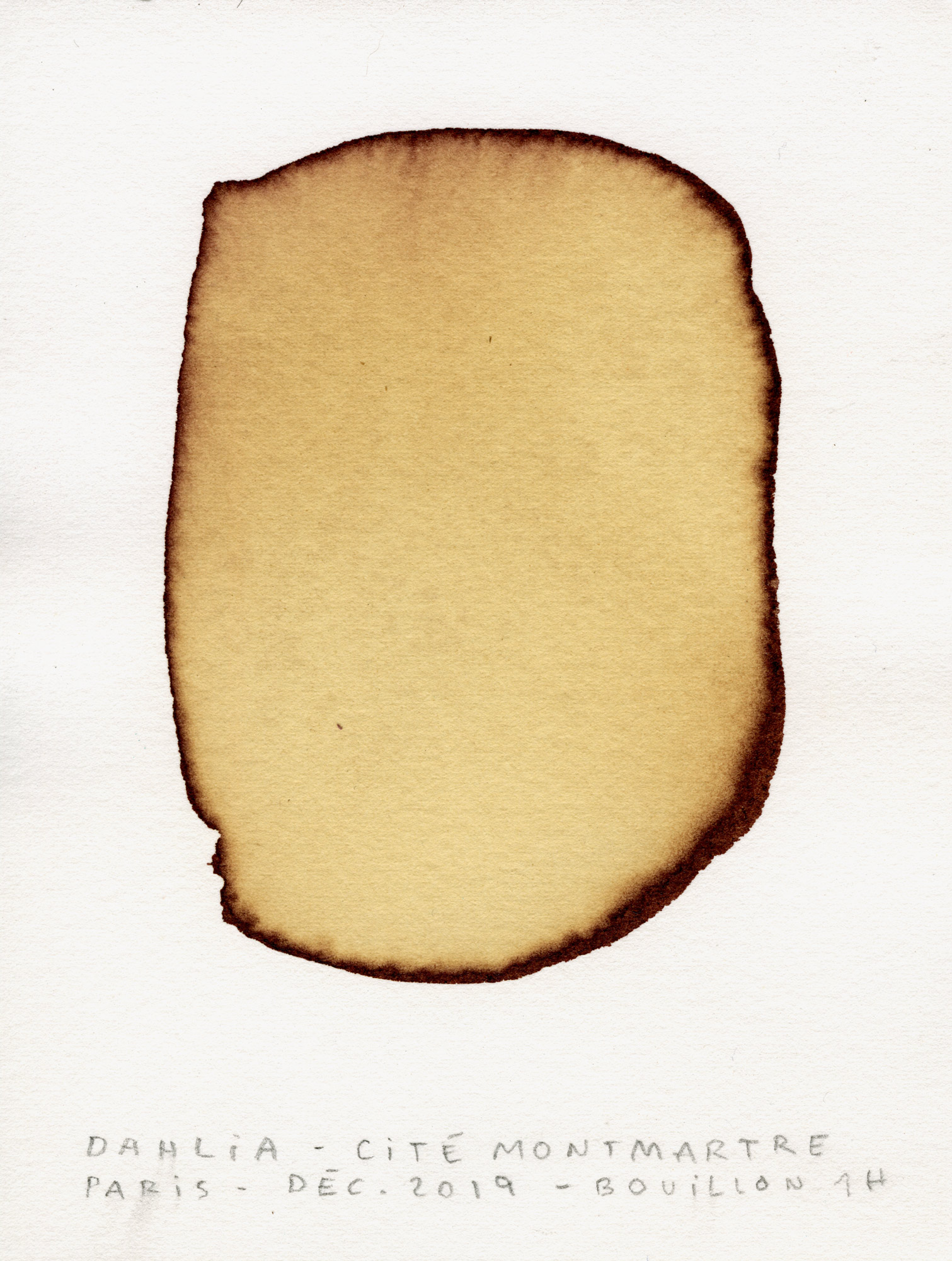 test-couleur111