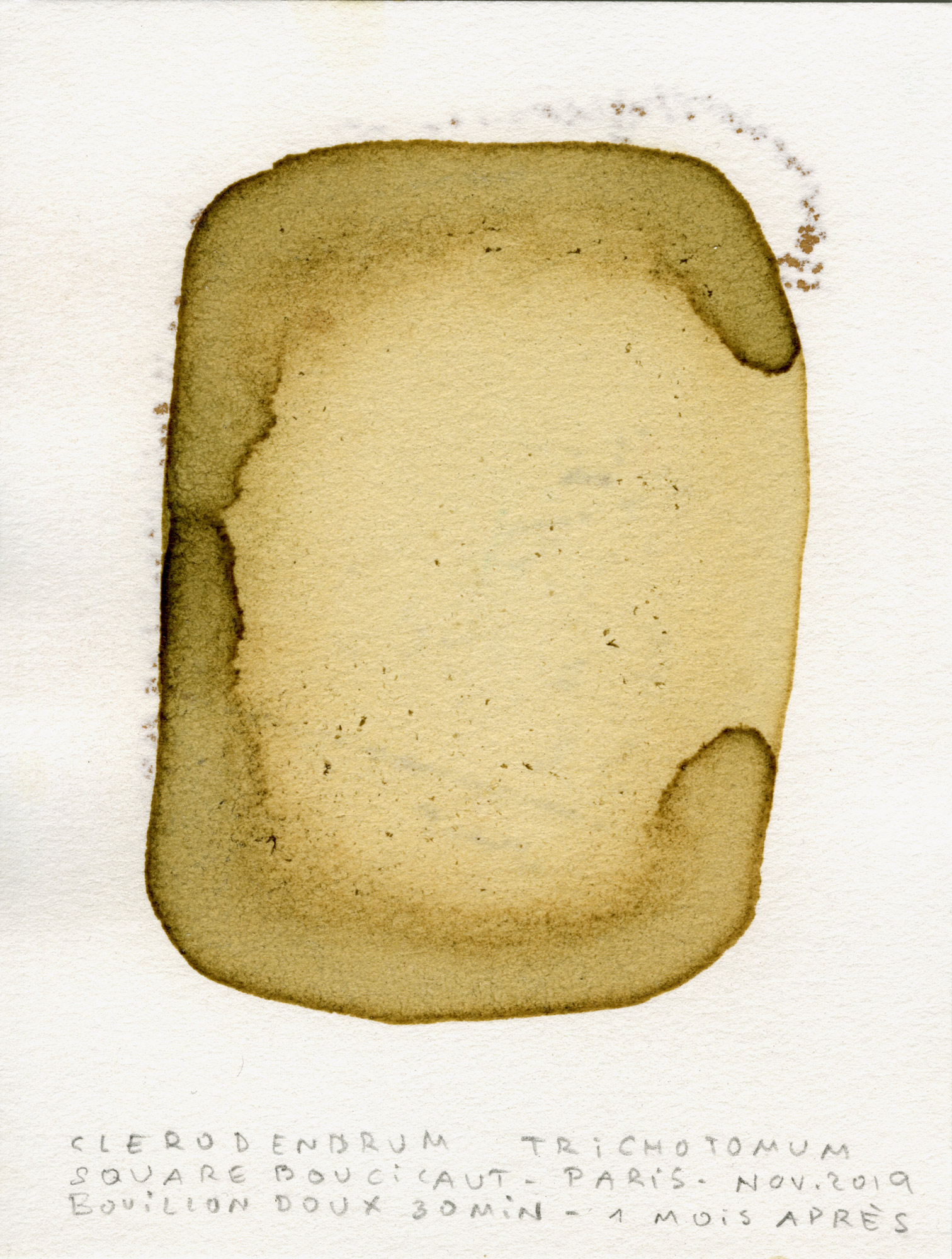 test-couleur121
