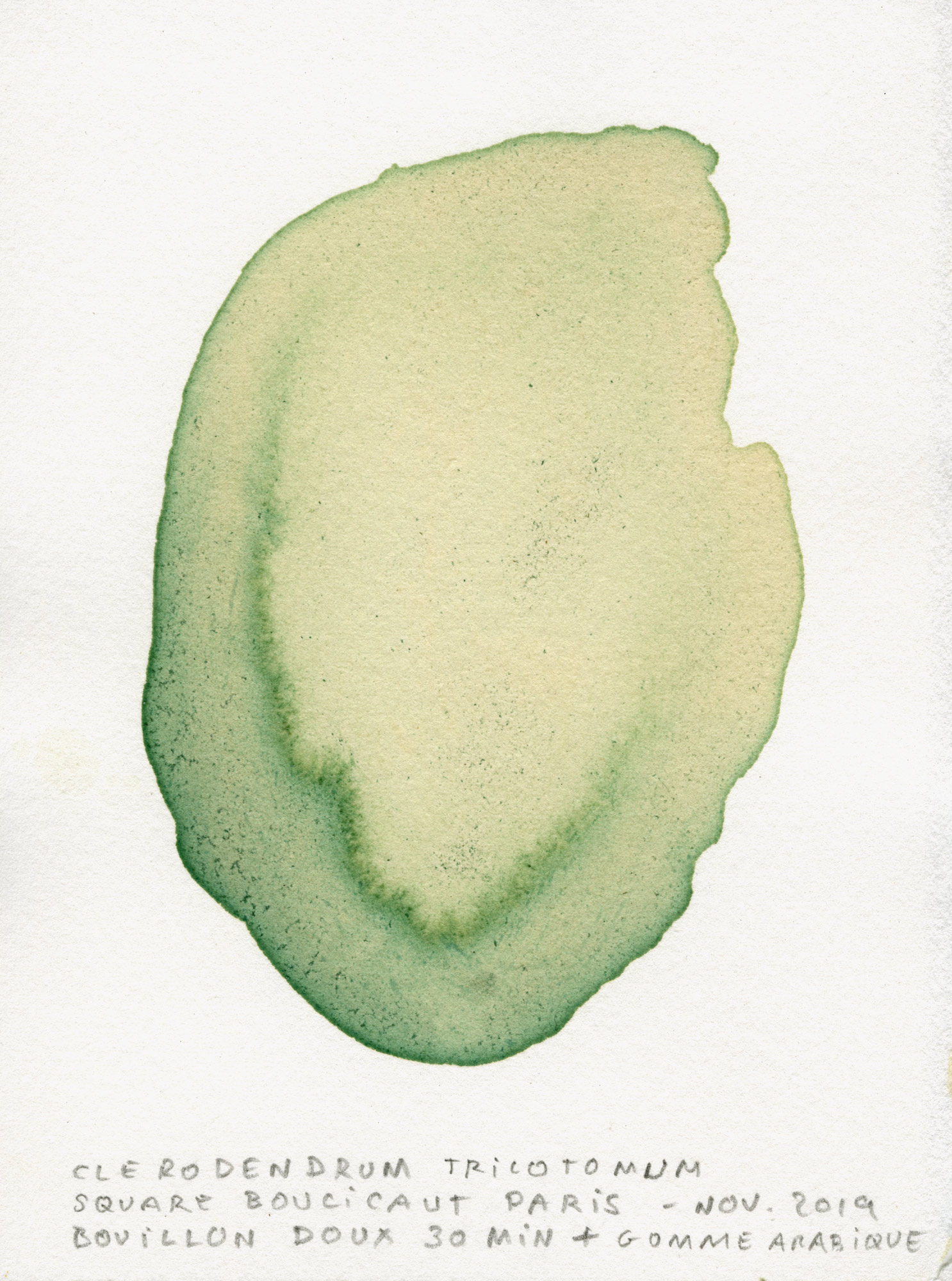 test-couleur117