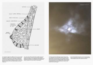 terralactation 6