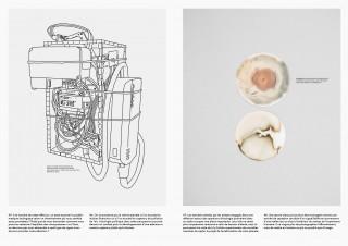 terralactation 26
