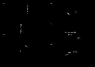 retranscription 41